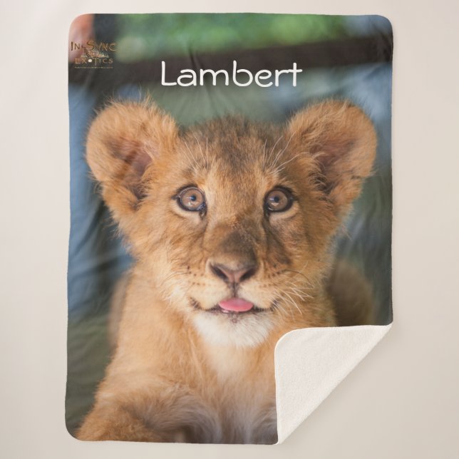 Lambert  sherpa blanket (Front)