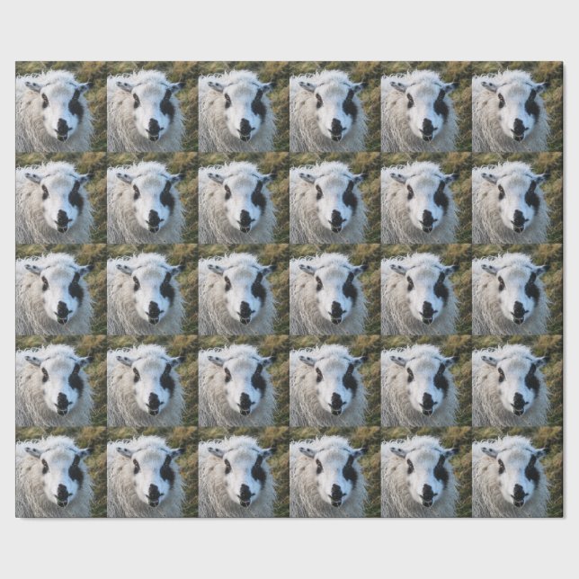 Lambie Wrapping Paper (Seam)