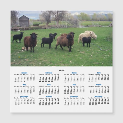 Lambs and Ewes in Pasture 2024 Calendar Card