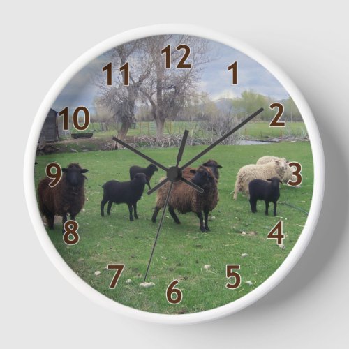 Lambs and Ewes in Pasture 2024 Calendar Card Clock