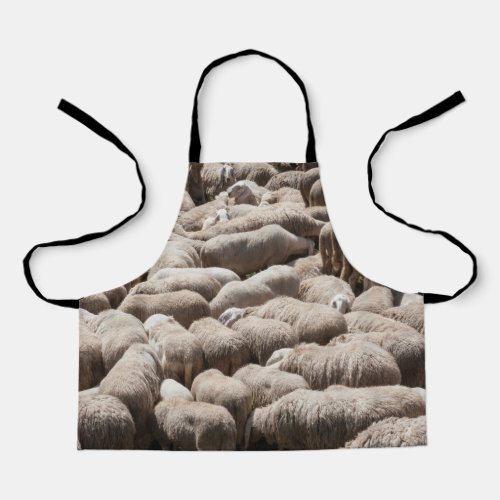 lambs and sheep in the flock in the mountains  apron