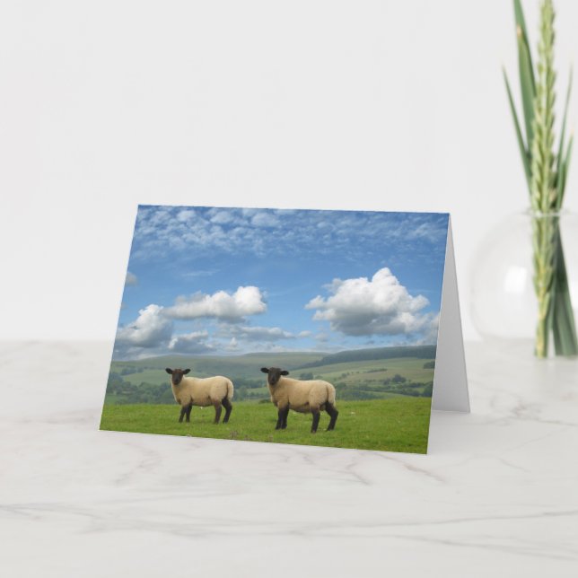 Lambs Card (Front)