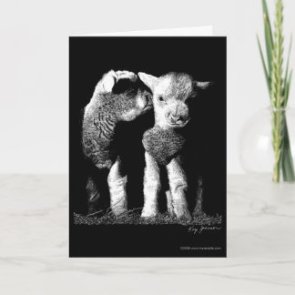 Lambs Card