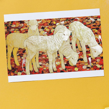 Lambs Holiday Card by Cardgallery at Zazzle
