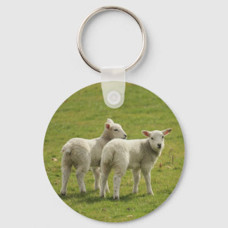 lambs keychain