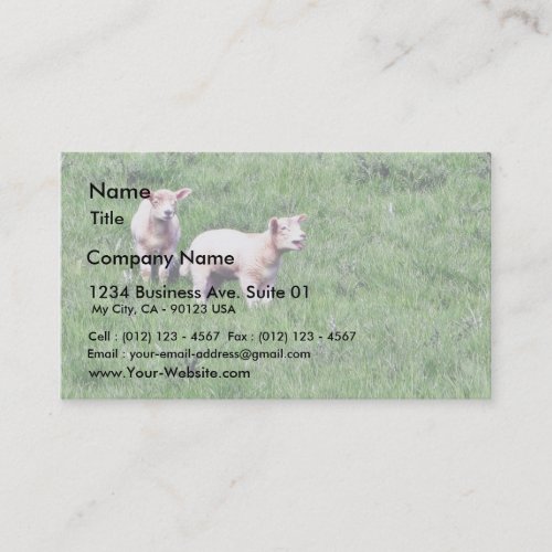 Lambs Sheep Business Card