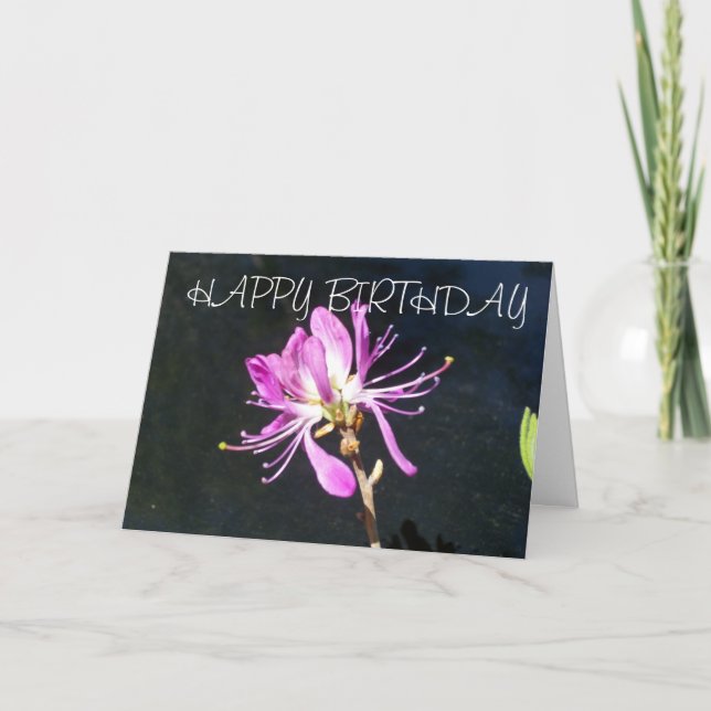 Lambskill Wildflower  Birthday Card (Front)