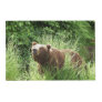 Laminated Placemat w/ grizzly bear & cubs