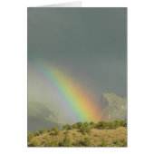 Lamoille Canyon Rainbow (Front)