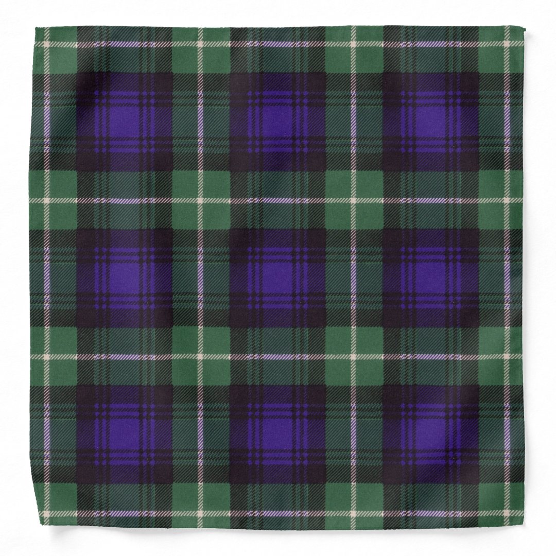 Lamont Modern Clan Half Of Tartan Hoodie