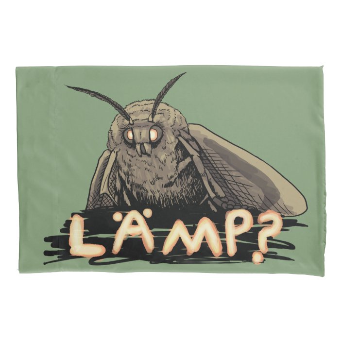 lamp_moth_meme_pillow_case-rb1b2b899186a482fa325dd86306763a5_zr30l_704.jpg?rlvnet=1