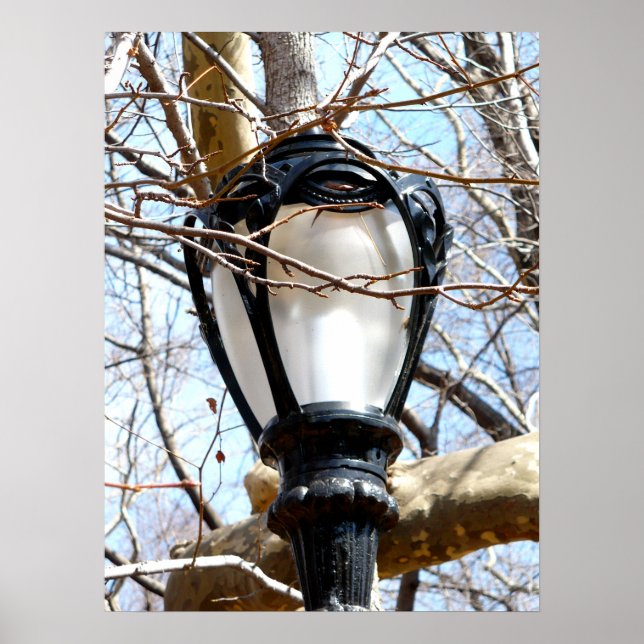 Lamp Post New York Central Park Poster (Front)