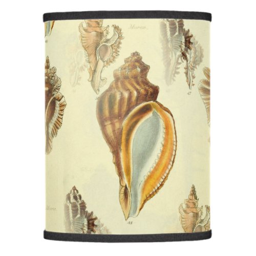 lamp shade shell beach house