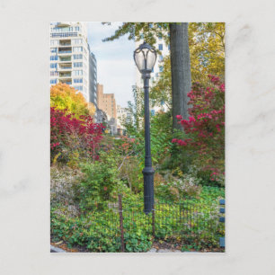 Lamppost and Bench Postcard