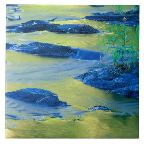 Lamprey River  New Hampshire Ceramic Tile