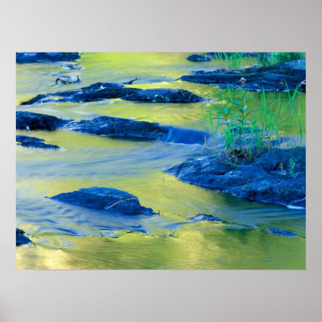 Lamprey River | New Hampshire Poster (Front)