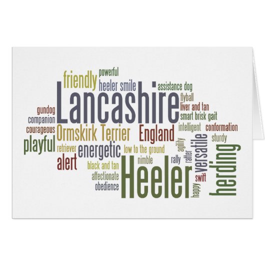 Lancashire Heeler Cards (Front Horizontal)
