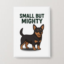 Lancashire Heeler Small But Mighty