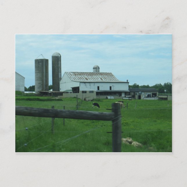 Lancaster County Farm Postcard (Front)