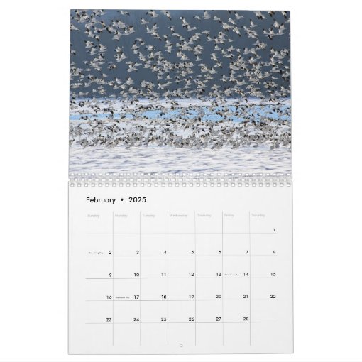 Lancaster County, Pennsylvania Calendar Zazzle