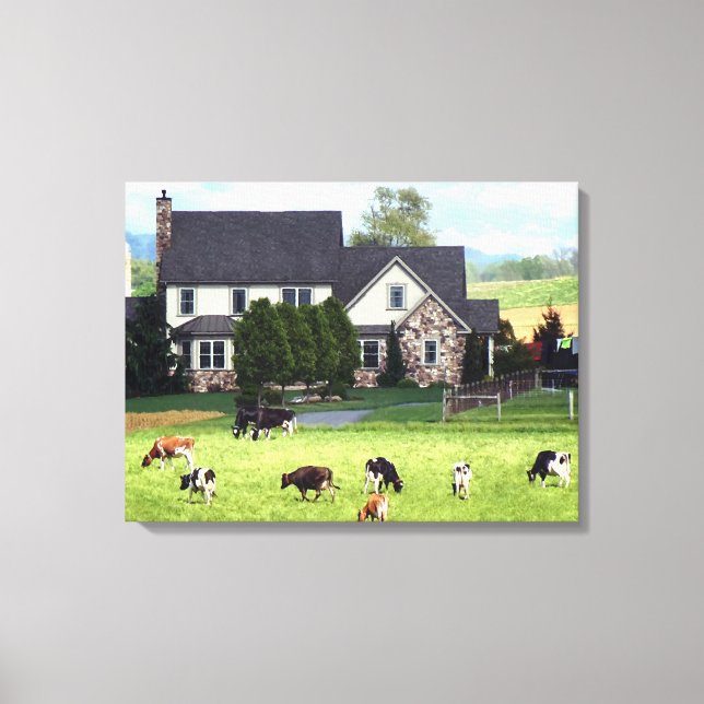 Lancaster PA - Family Farm With Cows in Pasture Canvas Print (Front)