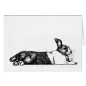 Lance the Unamused Bunneh (Front Horizontal)