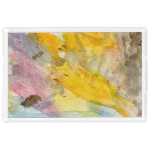 Land and Flying Dinosaurs Acrylic Tray