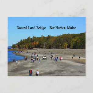 Land Bridge Bar Harbor Postcard