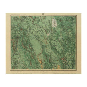 Land Classification Map of Idaho Wood Wall Decor