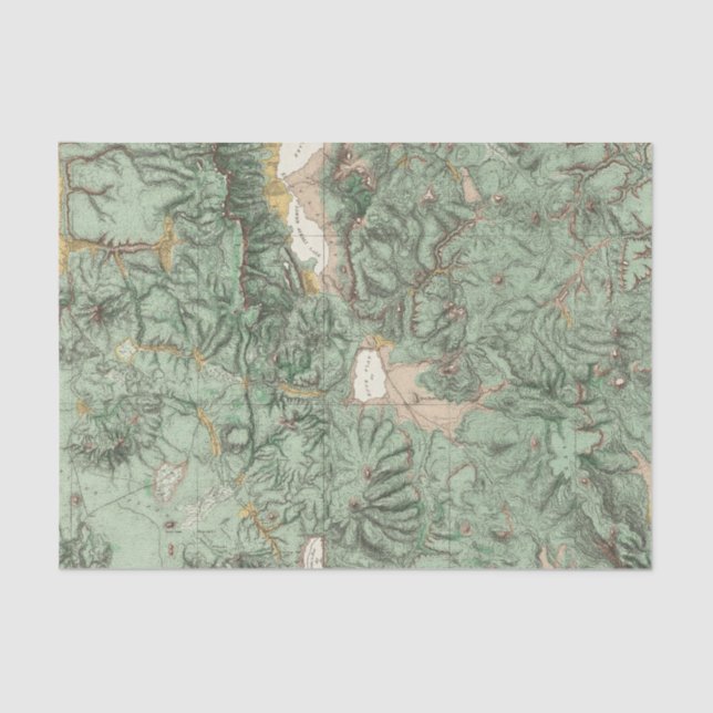 Land Classification Map of Nevada Tissue Paper (Front)