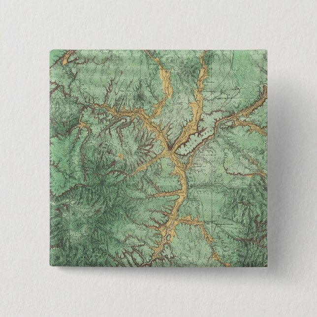 Land Classification Map of New Mexico 2 Button (Front)