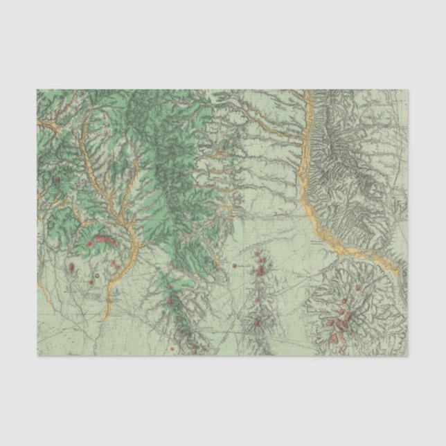 Land Classification Map of Southwestern New Mexico Tissue Paper (Front)