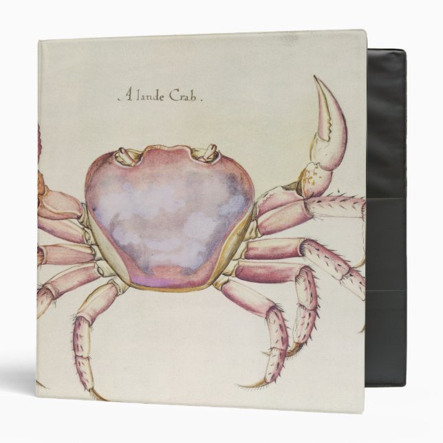 Land Crab Binder (Front/Inside)