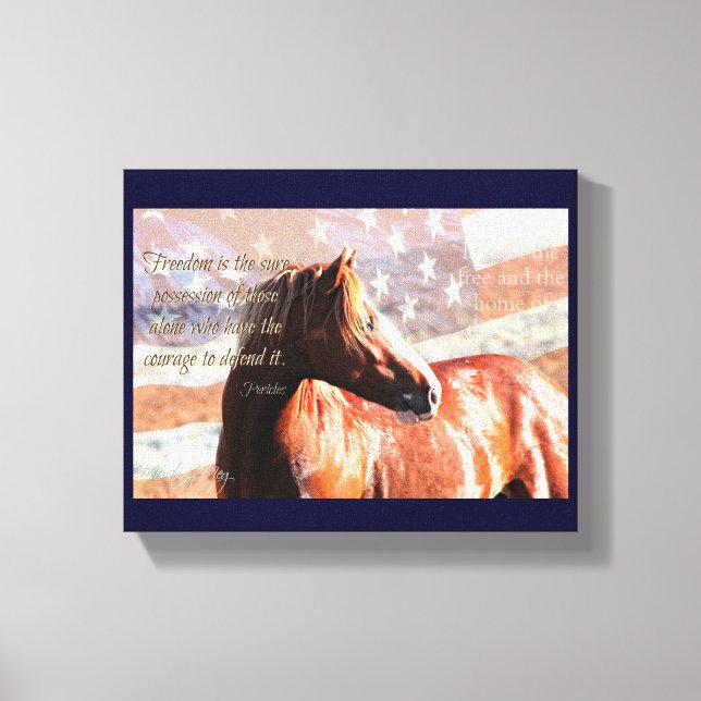 Land of the Free Canvas Print (Front)