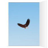 Land of the Free Memorial Day card (Inside (Left))