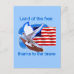 Land of the Free Tshirts and Gifts Postcard
