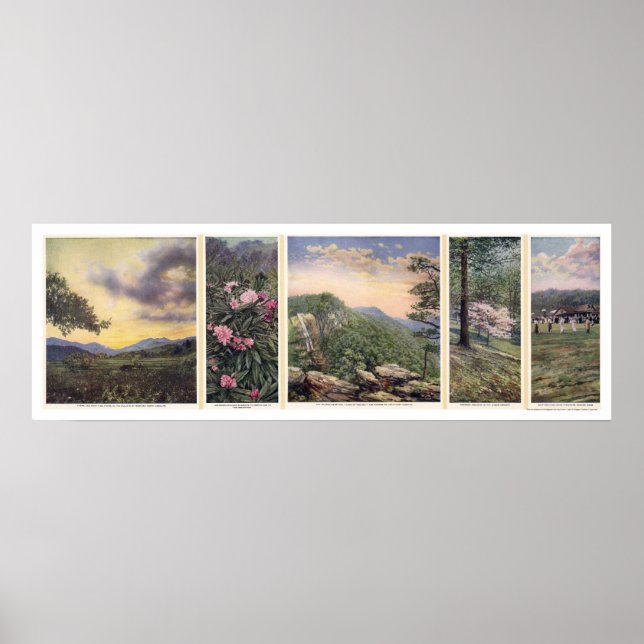 Land Of The Sky Poster 1917 (Front)