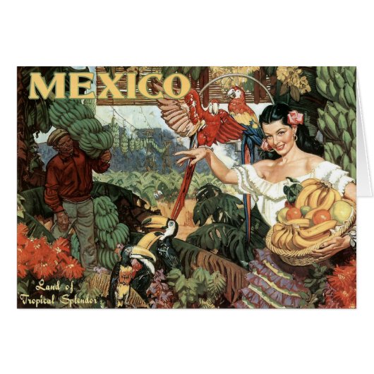 Land of Tropical Splendor Cards (Front Horizontal)