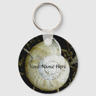 Land Snail Shell, Dutch Harbor, Alaska Keychain