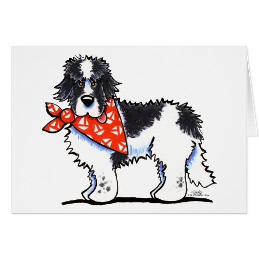 Landeer Newfie Sailor (Front Horizontal)