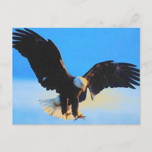 Landing Bald American Eagle Postcard