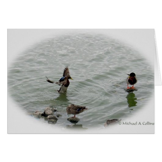 Landing Cards (Front Horizontal)