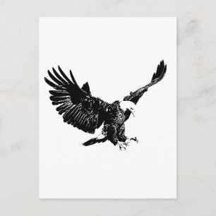 Landing Eagle Silhouette Postcard