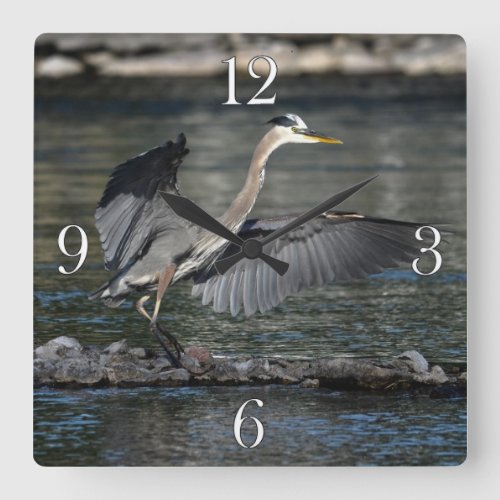 Landing Great Blue Heron Wildlife Bird Photo 3 Square Wall Clock