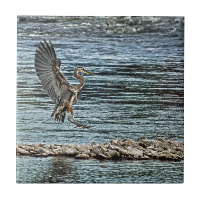 Landing Great Blue Heron Wildlife Birdlover Design Ceramic Tile (Front)