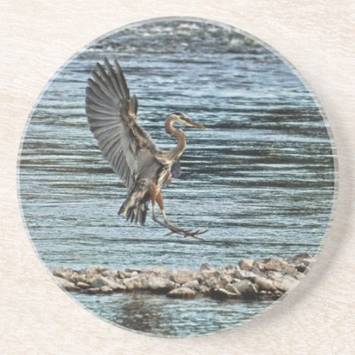 Landing Great Blue Heron Wildlife Birdlover Design Sandstone Coaster