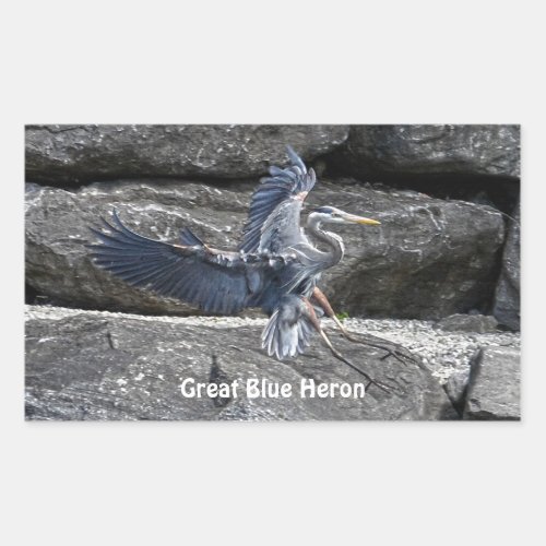 Landing Great Blue Heron Wildlife Birdlover Photo Rectangular Sticker