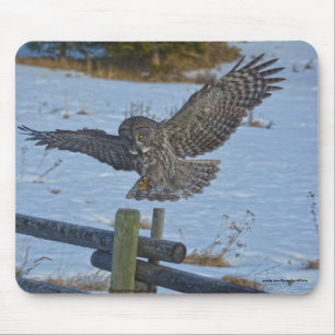 Landing Great Gray Owl and Snow Wildlife Raptor Mouse Pad