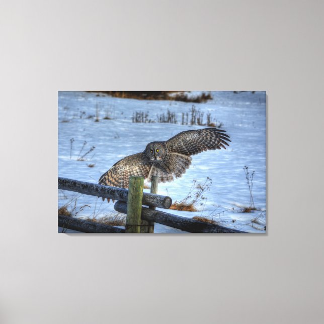 Landing Great Grey Owl and Fence in Snow II Canvas Print (Front)