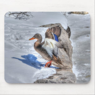 Landing Mallard Duck Birdlover Wildlife Photo Mouse Pad